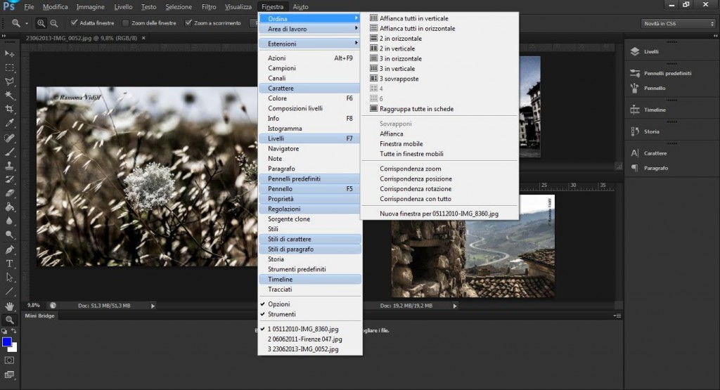 Finestra del documento e area di lavoro, Photoshop CS6