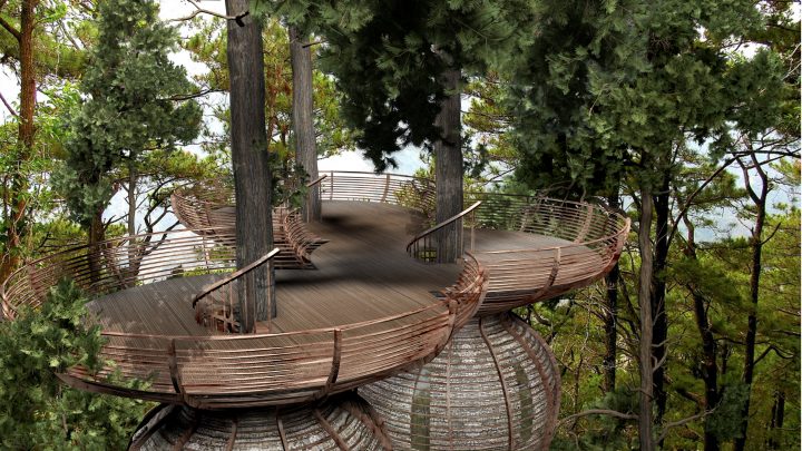 Roost Treehouse piattaforma