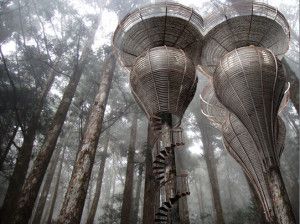 casa albero gibbon