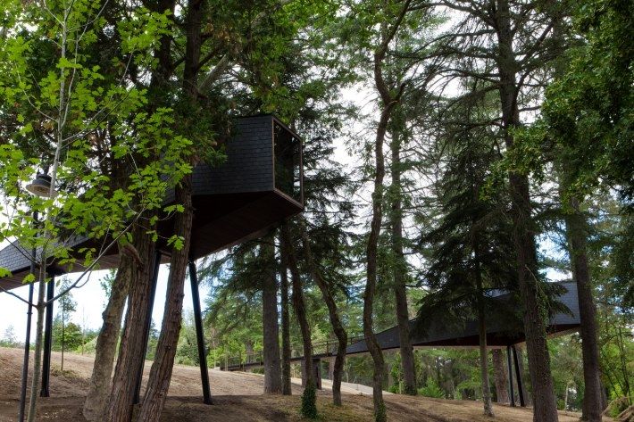 eco-resort sull'albero Portogallo