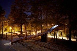 resort albero
