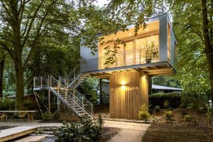 urban treehouse