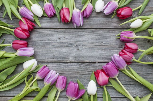 Fiori a forma di cuore