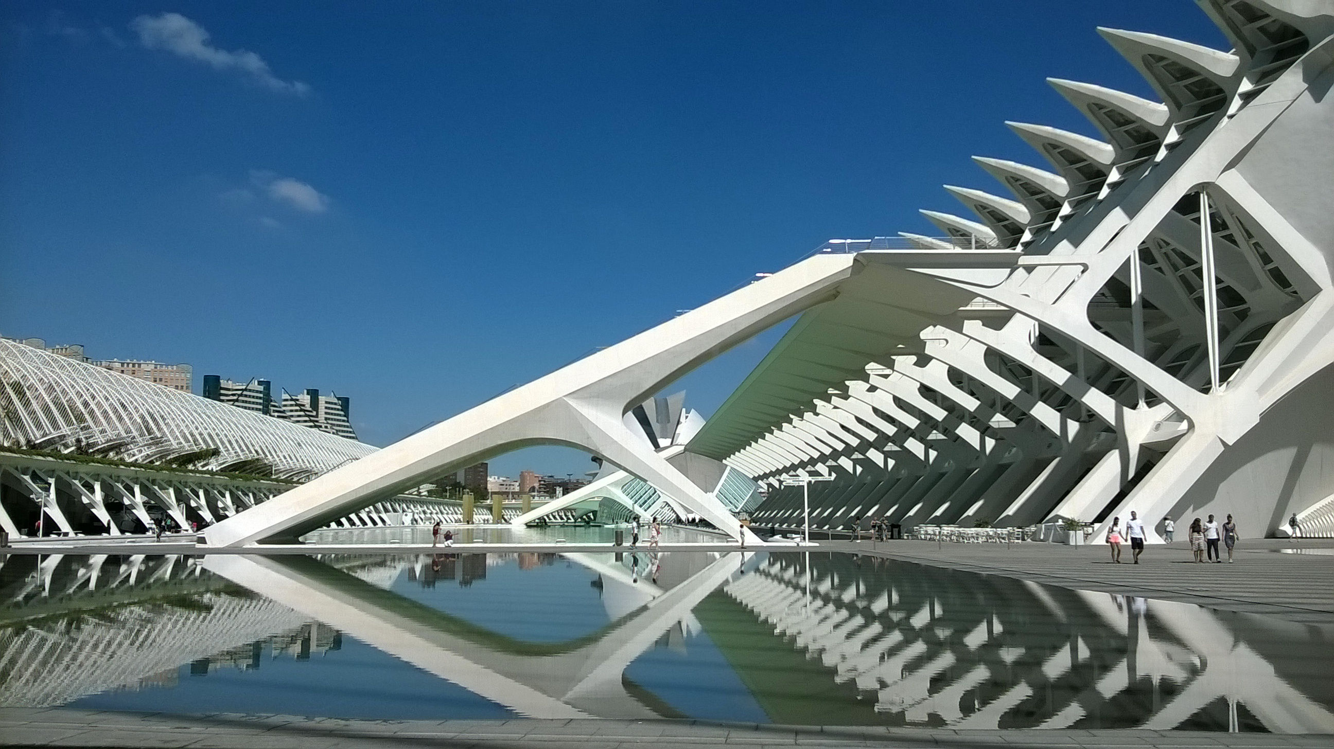 Museo della Scienza Santiago Calatrava Valencia
