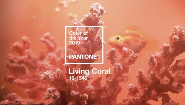 Parete Living Coral