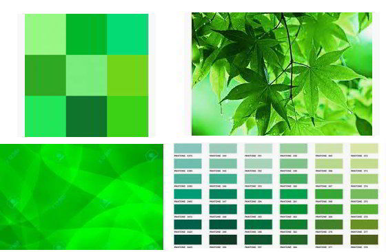 Colore Verde: Tonalità, Significato e Abbinamenti Pareti