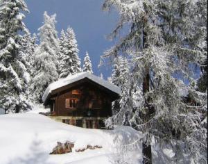 Baita in Montagna
