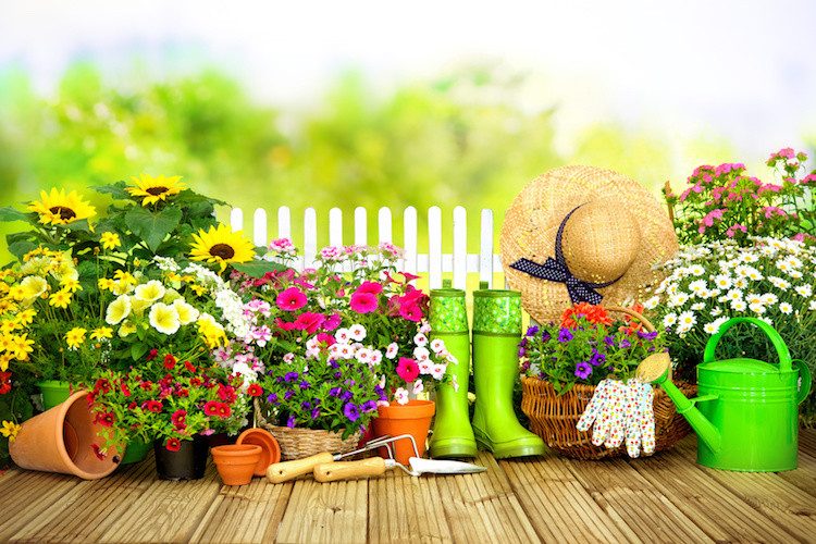 giardinaggio