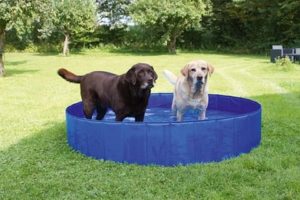 Piscine per cani