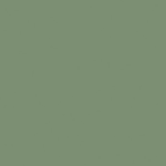 Colore Verde Salvia