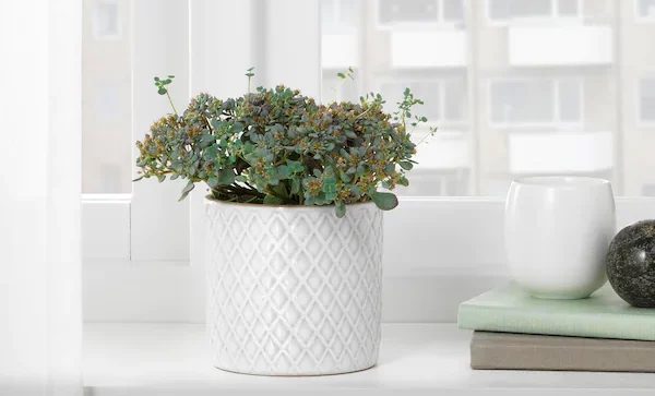 vasi ikea ceramica