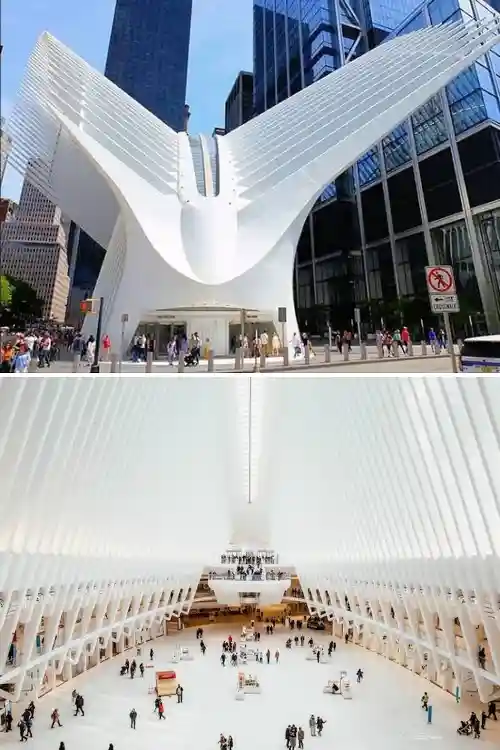 Oculus di Santiago Calatrava al World Trade Center di New York, struttura bianca a forma di ali aperte vista dall'esterno e dall'interno