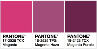 magenta pantone