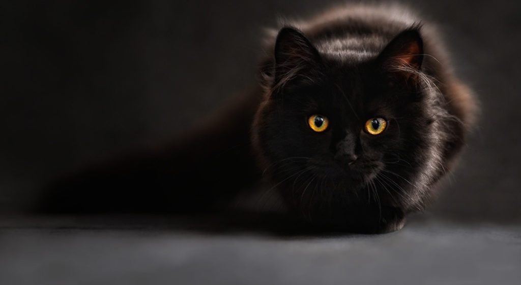 colore nero