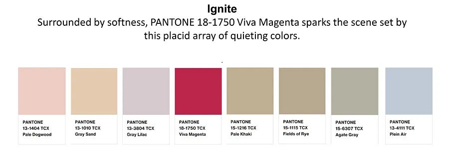palette pantone