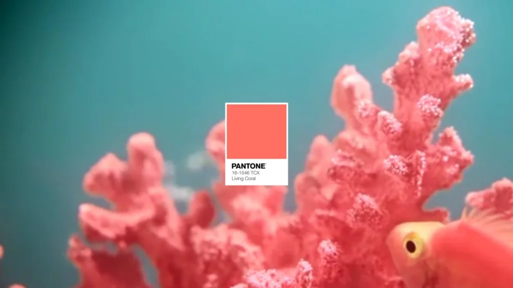 colore corallo