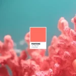 Colore Corallo