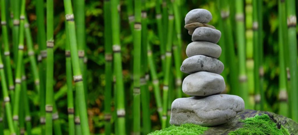 giardino zen