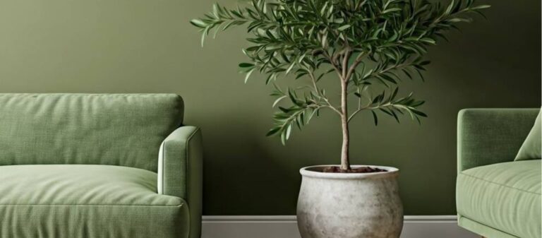 Verde oliva