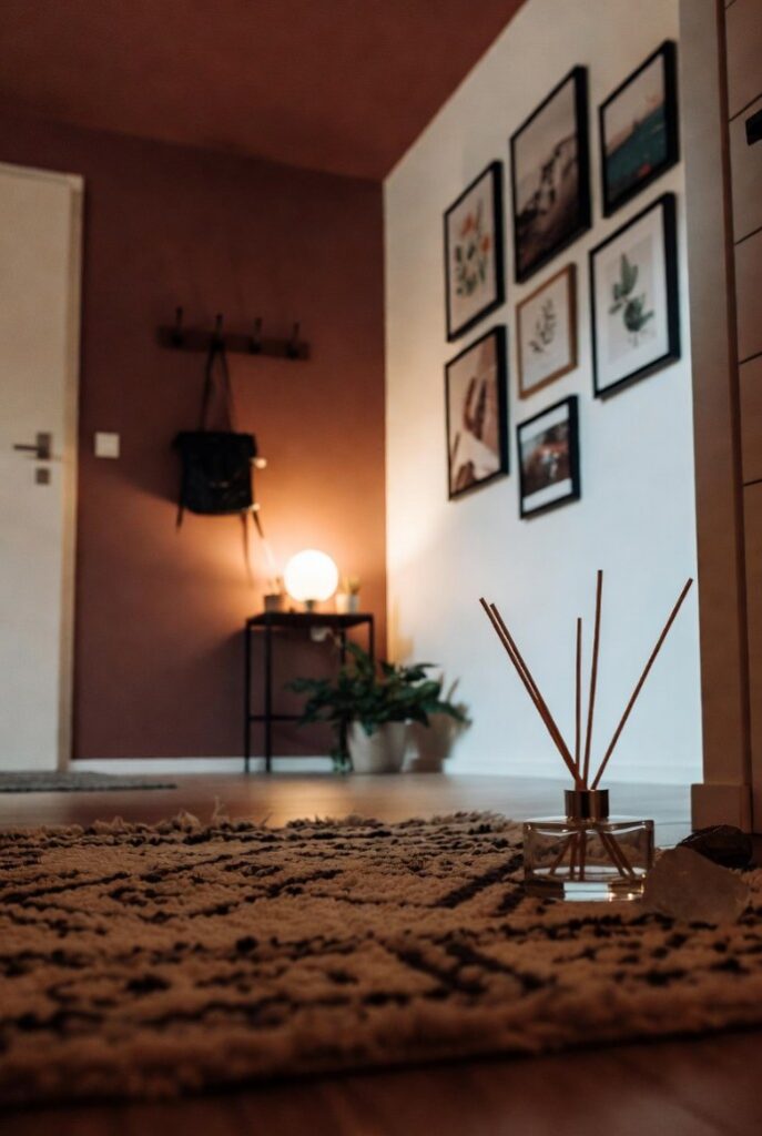 Effetto scatola ingresso terracotta con galleria stampe paredale, consolle lampada diffusore aroma, tappeto berbero pattern e piante per stile unico