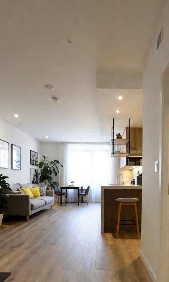 Arredare casa piccola pavimento continuo: open space con parquet chiaro da soggiorno a cucina, divano e piante luminose