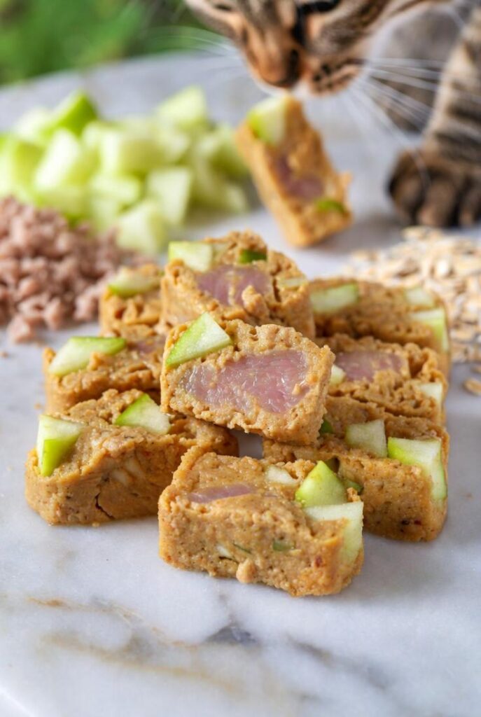 Snack per gatti fatti in casa: bastoncini tacchino mela verde su marmo con tacchino macinato, fiocchi avena e gatto tigrato che annusa.