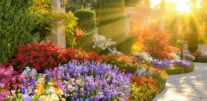 Giardino ornamentale con lavanda, petunie, echinacea e altre piante fiorite accanto a siepi sempreverdi e a un pergolato in legno immerso nel verde