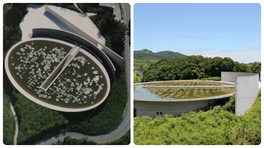 Water Temple Honpukuji Awaji 1991 di Tadao Ando - Tempio dell'Acqua con ninfee Doppia vista del Tempio dell'Acqua di Tadao Ando ad Awaji, vasca ovale con fiori di loto e passerella centrale che scende al tempio, a destra parete curva in cemento a vista immersa nel verde