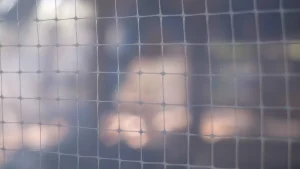 Primo piano inquadra una trama fitta e regolare di zanzariere (rete antizanzare bianca), tesa tra l'interno di un'abitazione e la sfocatura luminosa dell'esterno.