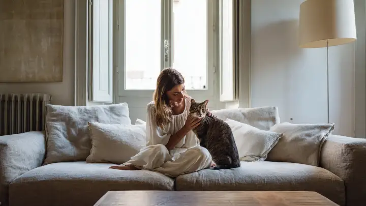 Il legame speciale tra umano e gatto Donna seduta sul divano che accarezza teneramente un gatto tigrato grigio