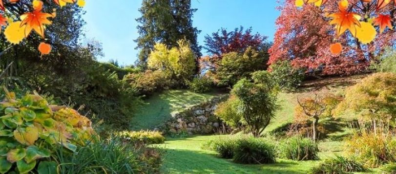 Giardino-autunnale-02