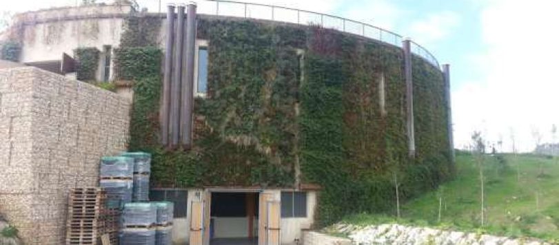 cantina green di Salcheto