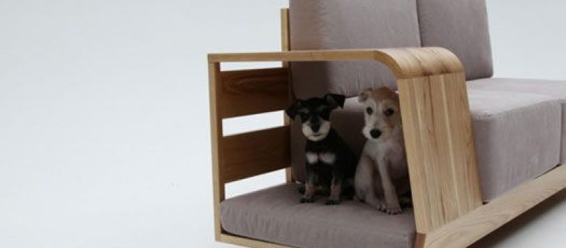 divano_per_animali_01