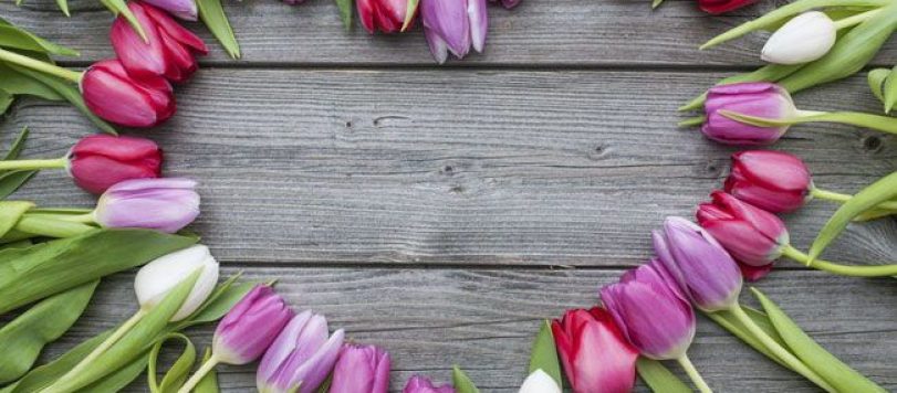 Fiori a forma di cuore