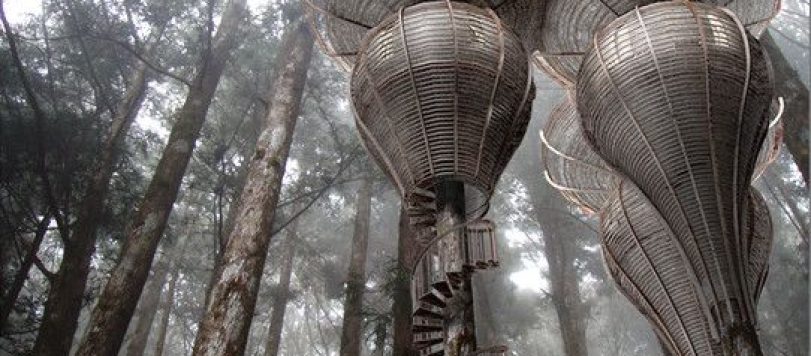 casa albero gibbon