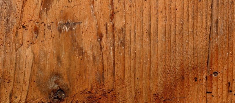 legno massello