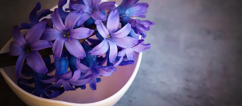 pantone ultra violet