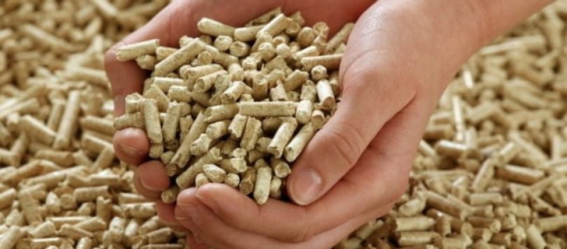 Pellet