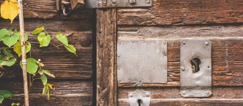 pexels-susanne-jutzeler-1665825